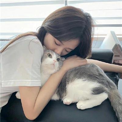 西葫芦的生活