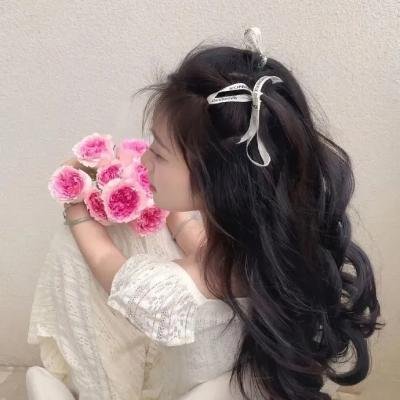 飞行之翼